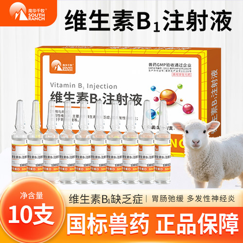维生素B1注射液兽用兽药牛羊猪用开胃消化不良多发性神经炎b1针剂 - 图0