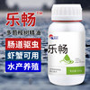 Plant Lechang Eucalyptus Essential Oil Small Melonworm Aquaculture