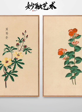 中草药植物花卉挂画中医馆装饰画