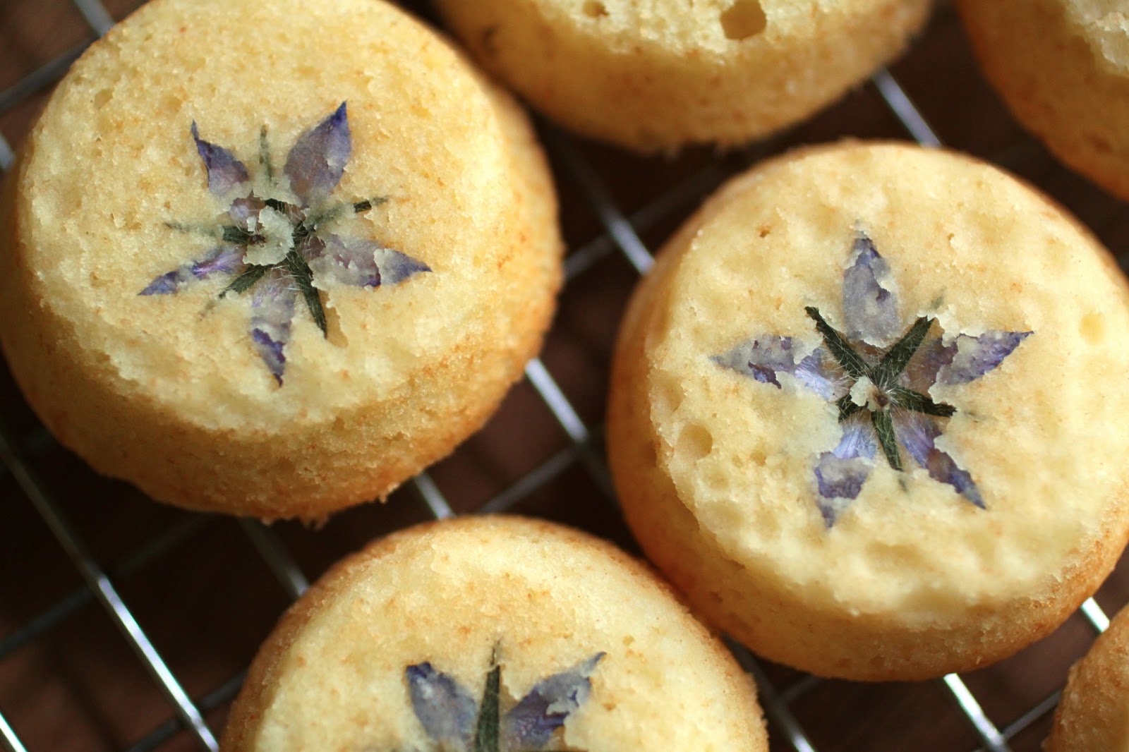 Edible Flower Borage 食用花材 琉璃苣花 蓝色星星花 20朵 摆盘 - 图2