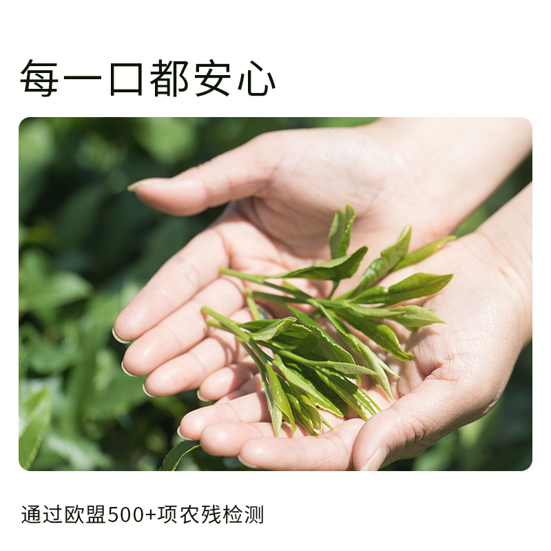 贵州贵茶绿初国产纯抹茶粉冲饮调饮烘焙奶茶拿铁高原茶道点茶58g