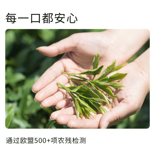 贵州贵茶绿初3#pro抹茶粉冲饮调饮烘焙拿铁泡水喝高山茶道抹茶58g - 图2