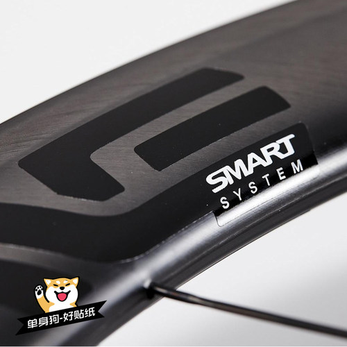 ENVE SES SMART轮组贴纸公路车环法车队版碳刀圈改色贴纸防水定制 - 图0