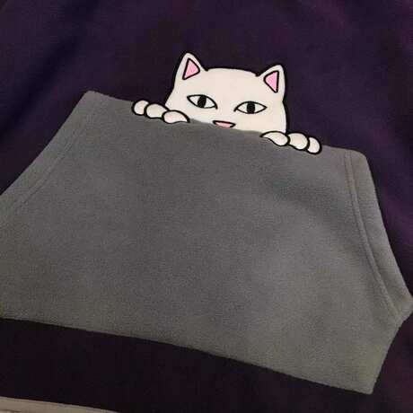 美国潮牌RIPNDIP 贱猫中指猫卫衣口袋猫男女同款立领摇