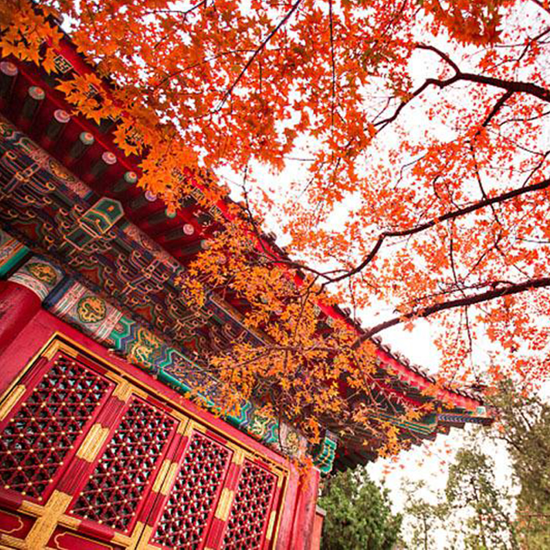 北京旅游故宫一日游含门票含故宫导游深度讲解含无线耳麦跟团游 - 图3