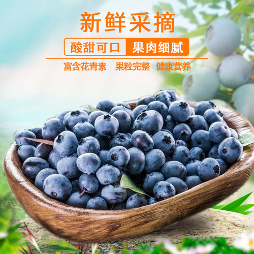 蓝莓干无添加东北伊春特产大兴安岭果干蓝莓果小包装原味500g - 图1