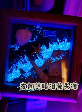 宁波象山南澳岛舟山旅游纪念品伴手礼 蓝眼泪夜光款 海螺贝壳相框