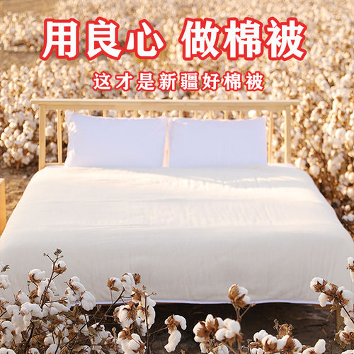 新疆直发棉花被 单人宿舍冬加厚保暖冬季纯棉冬被被子棉芯棉被芯 - 图1