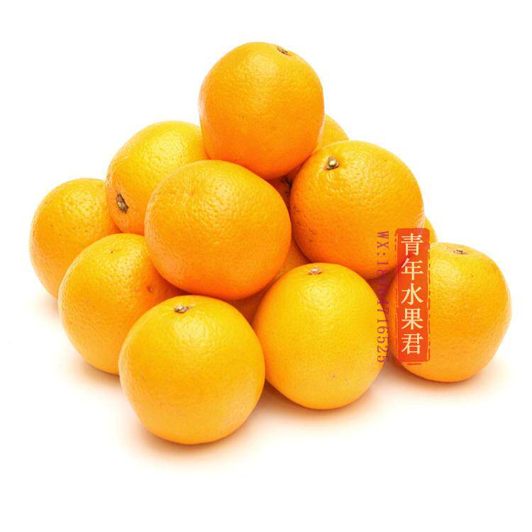 南非原装进口水果夏橙埃及新鲜饮品橙子榨汁脐