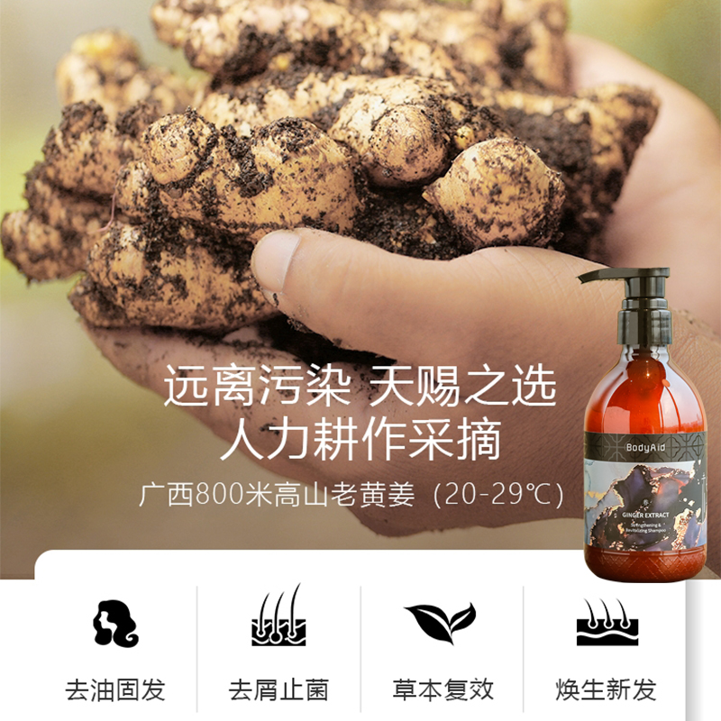 安享好物 安享A级洗发水-bodyaid生姜洗发水 国标