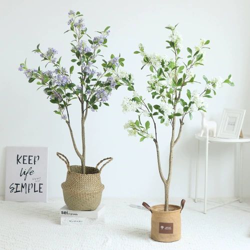 Моделирование Qianli Дерево ладана псевдома растения