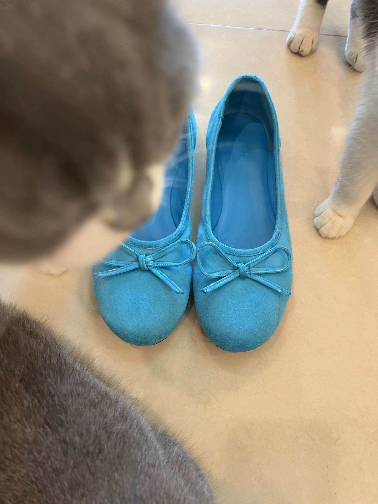 Balenciaga Classic Satin Ballet Flat