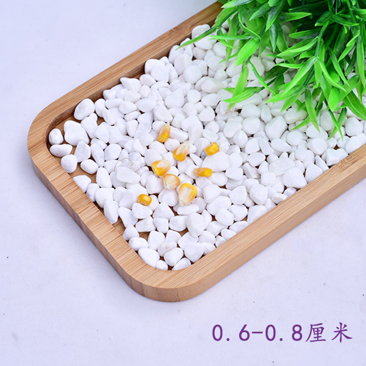 天然白石子小白玉石五彩石鹅卵石雨花石多肉石头铺面水培鱼缸铺院 三生石斋店 淘优券
