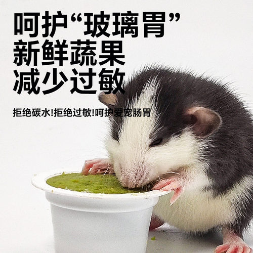 蔬菜布丁水果布丁营养补充补水花枝鼠零食仓鼠金丝熊食物粮食 - 图2