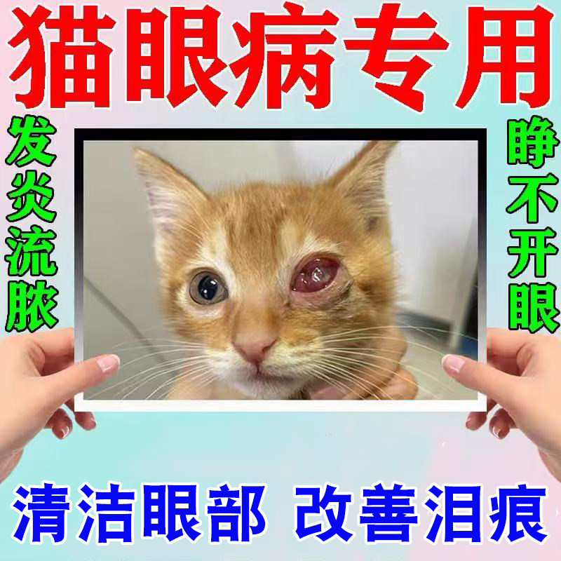 猫咪眼睛发炎流泪宠物滴眼液治眼角红肿流脓抗菌消炎眼药水,淘宝优惠券,粉丝福利购,淘宝优惠卷
