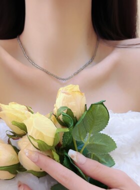 彩色米珠串珠项链轻奢小众夏季清新锁骨链气质女款高级感简约颈链
