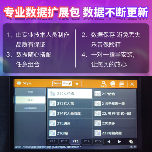雅马哈SX600/700/900电子琴定制音色包节奏包 民乐流行DJ数据扩展 - 图1