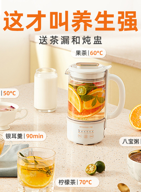 罗娅养生壶便携迷你烧水壶600ML