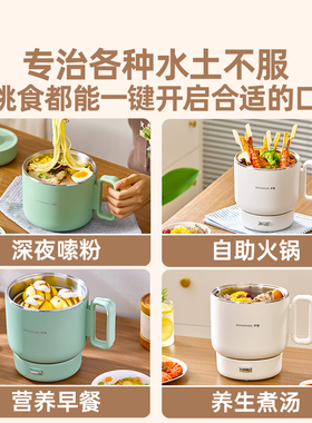 罗娅便携折叠锅电煮锅304不锈钢