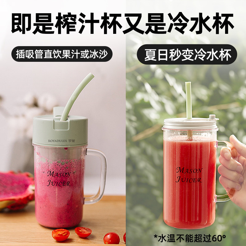 罗娅10叶刀碎冰小型便携式杯榨汁机 royaltyline榨汁机