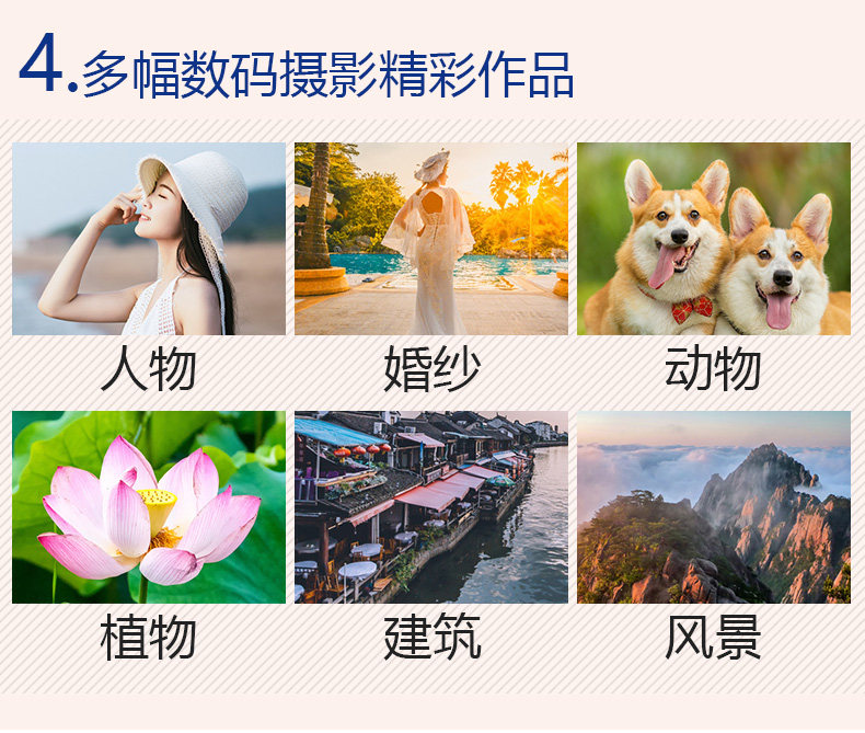 正版保证】数码单反摄影从入门到精通手机相机摄影入门书籍拍照摄影机拍摄技巧书籍摄影教材教程人物后期学院级佳能入门自学教材