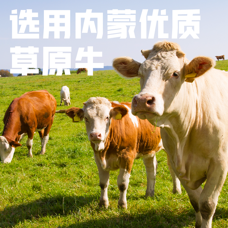 太阳岛牛肉酱80g*10袋装东北大酱拌饭酱佐餐酱料熟酱调料旗舰店