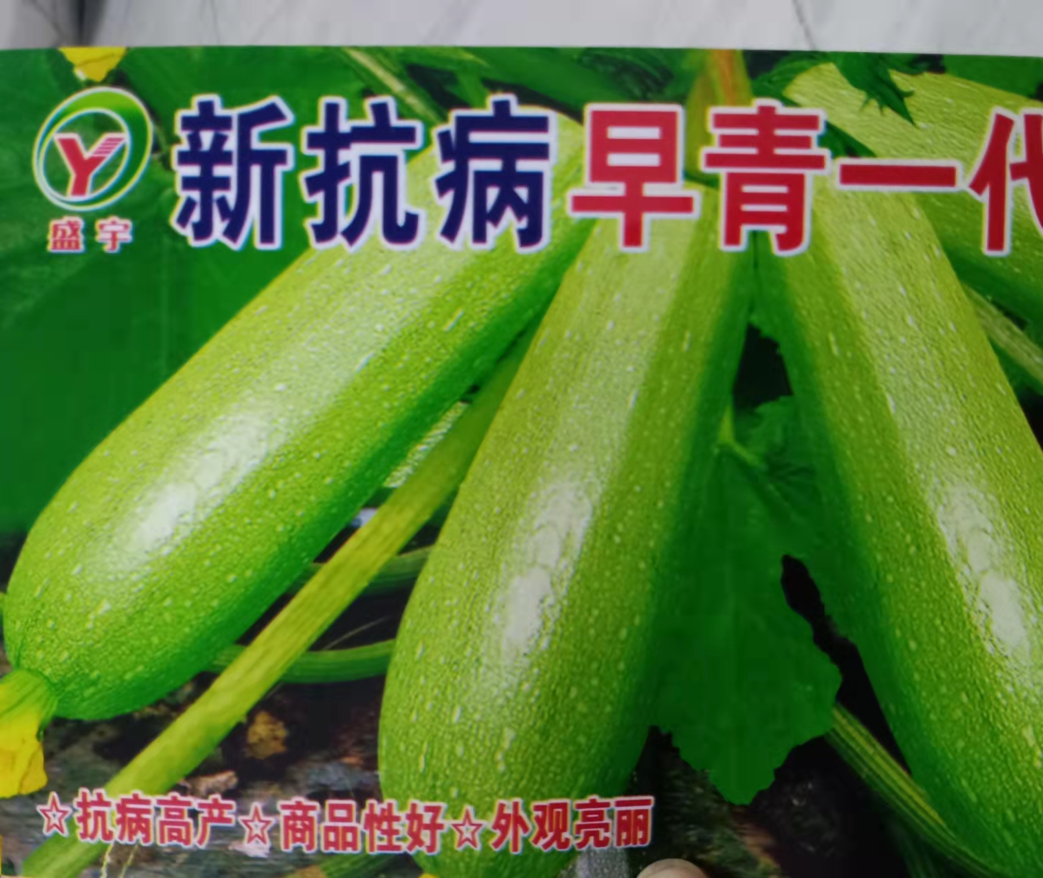 大西葫芦种子菜农专用庭院小菜园栽种老品种抗病优质春季秋季蔬菜 - 图0