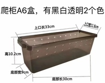 Reptile A6 box reptile rearing box vigil Climbing Darling Spider scorpion lizard lizard Turtle Corner Frog Coconut ADC Climbing Darling