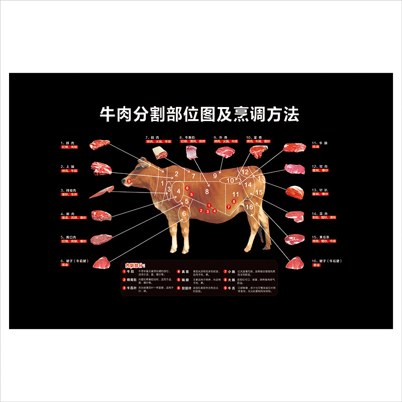 排酸牛肉分割分解部位图牛排店装饰壁画猪肉分切图贴画墙贴纸海报