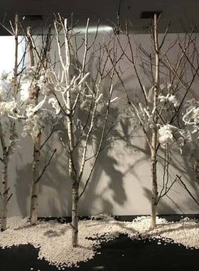 白桦树装饰干白桦木圆木棍树杈