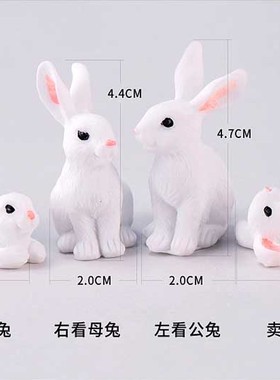 盆栽摄影可爱风蛋糕兔子装饰摆件