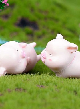 微景观盆栽摄影公仔蛋糕可爱小猪