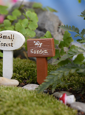 微景观盆栽森林生态瓶摄影小摆件