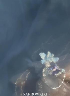 克鲁兹鸢尾花尾环“我没有什么可以拥有真理和自由”