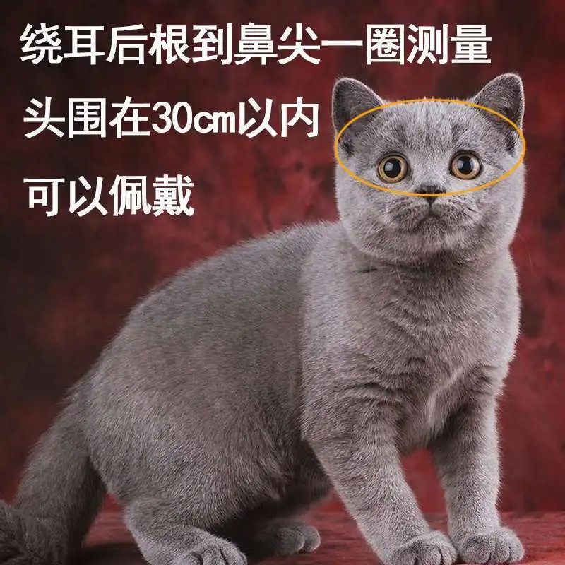 机车党闭眼入宠物头盔猫猫咪帅气迷你小型狗狗专用摩托车安全帽子 - 图3