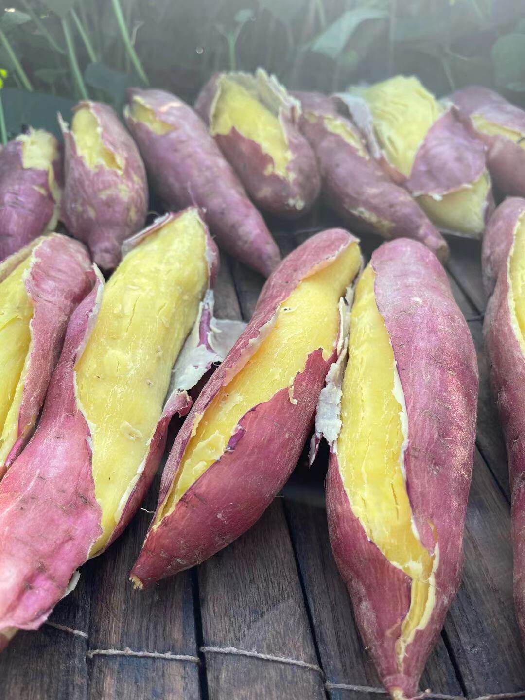 新鲜黄白心沙土地糖心蜜薯板栗红薯 陆鲜生番薯