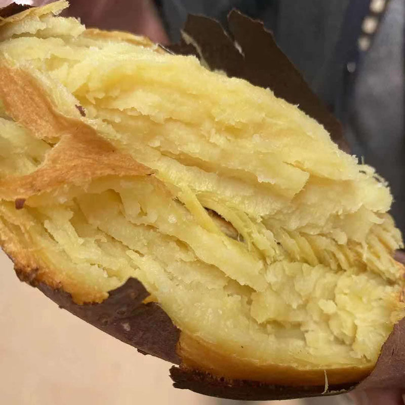 板栗陕西农家自种沙地新鲜红薯 陆鲜生番薯