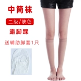 Разнообразные вены эластичные носки врачи самка