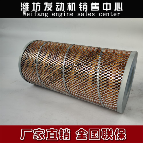 潍坊226B道依茨潍柴WP4柴油发动机发电机组13023207空气滤清器芯 - 图0
