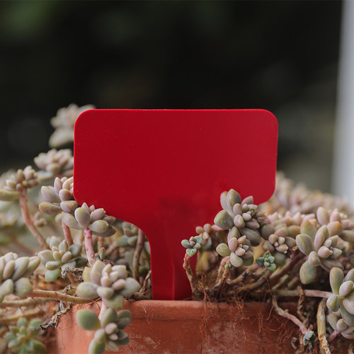 园艺多肉标签牌兰花花卉盆栽园艺插地牌植物花名标签防水插牌工具 - 图2