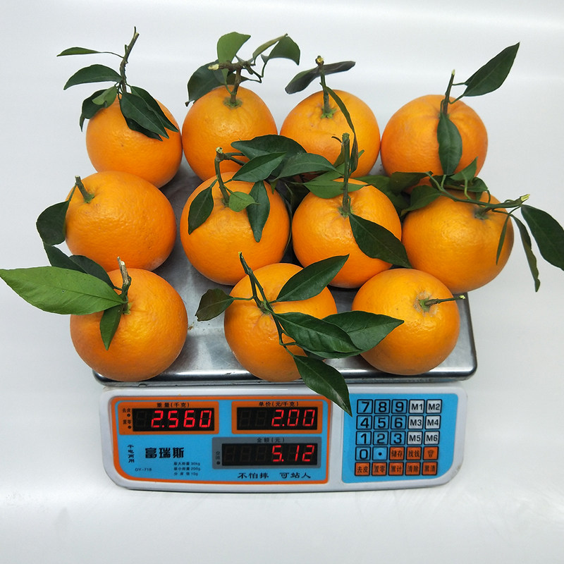 湖北正宗秭归脐橙纽荷尔新鲜水果橙子当季大个手剥橙九月红果冻橙,淘宝优惠券,粉丝福利购,淘宝优惠卷