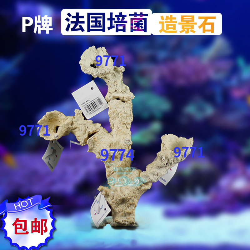 海24牌免暴藻8鱼缸s0送88sp造景石含菌种培菌38量水原9 P缸9 货23 - 图0