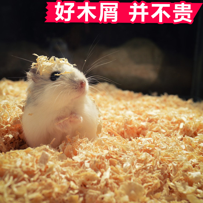 宠物仓鼠木屑专用垫料刨花除臭纸棉无尘金丝熊白杨木夏季防臭用品,淘宝优惠券,粉丝福利购,淘宝优惠卷