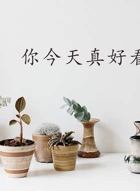 日韩风简约网红房间少女心墙贴纸