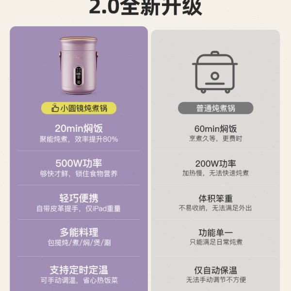 TER小电炖锅煮粥神器家用多功能迷你便携炖煮锅宝宝辅食煲汤熬粥-图0