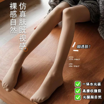 Café Skin Light Leg God with high waist collection Flesh Complexion Water Photosocks Hitting Bottom Pants Woman Autumn Winter Plus Suede Pants Socks Stomping