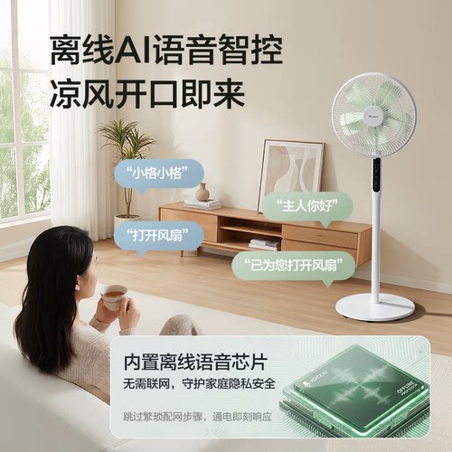 格力花精灵电风扇语音智控一级能效抗菌防霉节能直流变频落地扇 - 图1