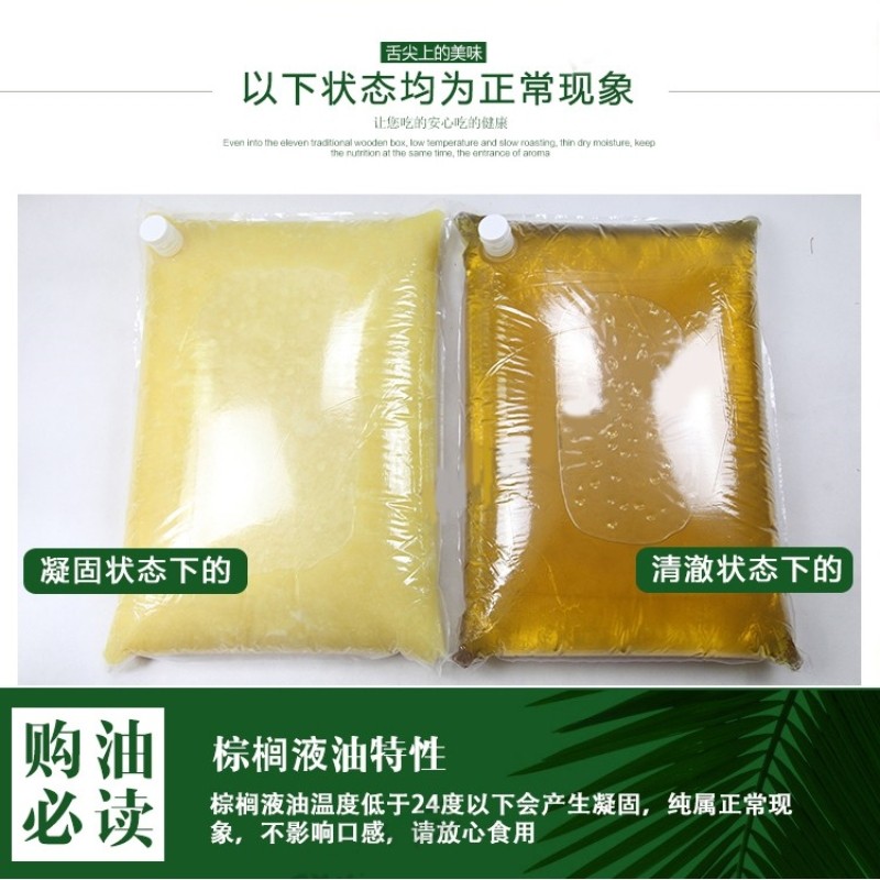 海皇牌棕榈油22L专用油炸耐煎炸起酥油 炸鸡小吃油炸液体油食用油