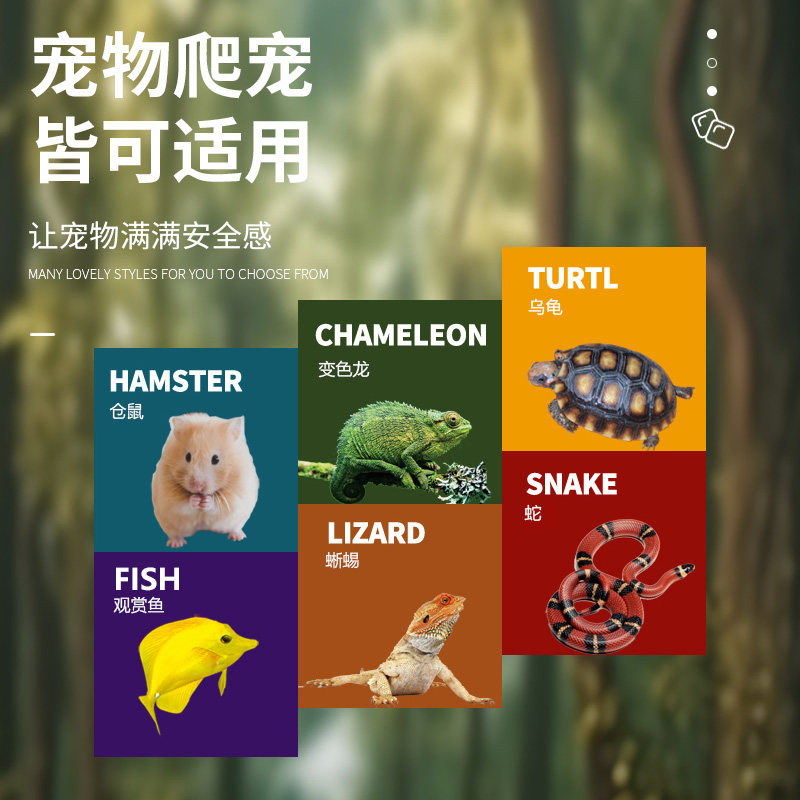 爬宠躲避屋守宫蜥蜴蛇洞穴爬虫造景水果乌龟仓鼠蜘蛛寄居蟹躲藏洞,淘宝优惠券,粉丝福利购,淘宝优惠卷