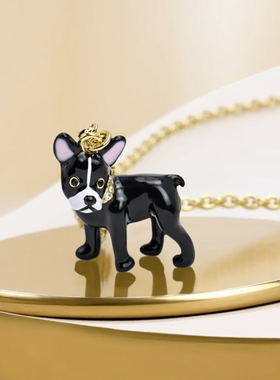 小众轻奢欧美风手工珐琅长款项链